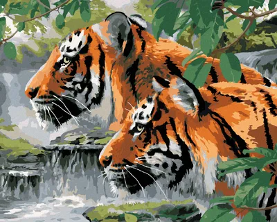 Produktbild von Zuty - Malen nach Zahlen - SUCHENDE TIGER AM FLUSS (HOWARD ROBINSON), 40x50 cm, ohne Keilrahmen
