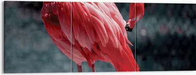 Produktbild von Bild auf Leinwand - Leinwandbild - 3 Teile - Flamingo Rosa Vogel - 150x50cm - Wand Bild - Wanddeko - Wandbilder - Leinwanddruck - Bilder - Wanddekoration - Leinwand bilder - Wandbild - CA150x50-4551