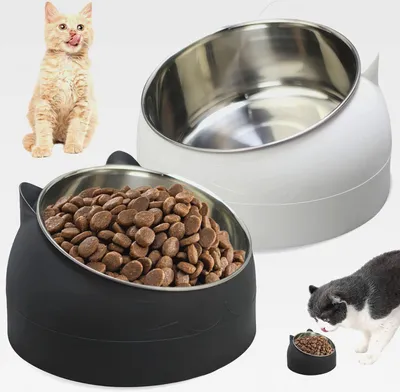 Produktbild von 2 x Katzennapf Edelstahl, Futternapf Katze, Fressnäpfe für Katzen Edelstahl, 15° Geneigter Erhöhter Katzen Futternapf, Futterschüssel Katze, Fressnapf für Katze Hunde, Edelstahlnapf 400ML