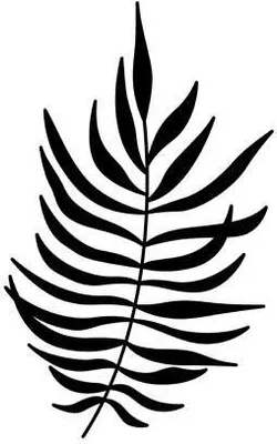 Produktbild von Holzstempel Farnblatt 7 x 4,5 cm