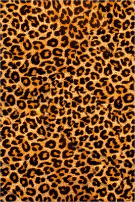 Produktbild von Wallario Poster - Leopardenmuster  in orange schwarz, Kunstdruck Größe: 61 x 91,50 cm
