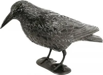 Image de Répulseur d'oiseaux Silhuette - Corbeau debout - Mxl De Kr