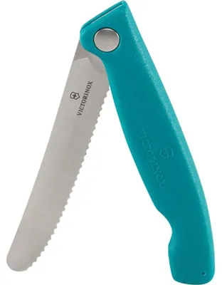 Obrázok produktu pre Victorinox Picknickmesser Swiss Classic 11 cm Grün