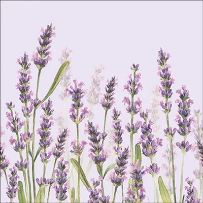 Produktbild von Servietten Papier 33x33cm 3-lag mit Aquarell Lavendel Motiv 20 Stk