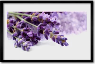 Produktbild von Bild 60x40 MDF-Rahmen Wandkunst Blumen Natur Pflanzen