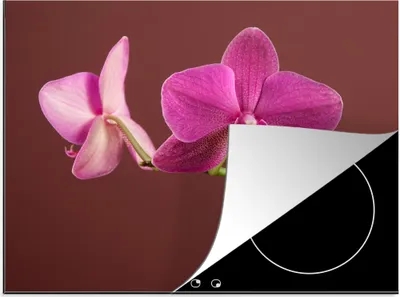 Produktbild von KitchenYeah© Herdabdeckplatte Blumen - Orchideen - Rosa , 58x51cm, Küche Deko, Glaskeramikkochfeld Herdabdeckung, Abdeckplatte fùr Kochfeld