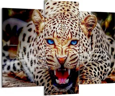 Produktbild von Bild auf Leinwand - Leinwandbild - Panther Tier - 130x100cm - Wand Bild - Wanddeko - Wandbilder - Leinwanddruck - Bilder - Kunstdruck - Wanddekoration - Leinwand bilder - Wandkunst - CB130x100-3506