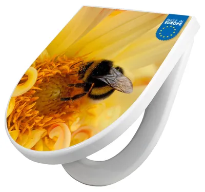 Produktbild von WC Sitz mit Absenkautomatik D Form Motiv Hummel [TDW3 10465]