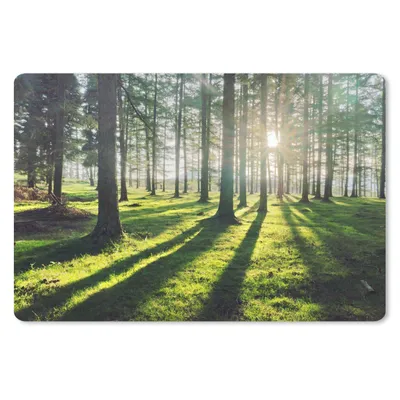 Obrázok produktu pre Podložka pod myš - Stromy - príroda - les - 27x18cm - Rohožka pod myš
