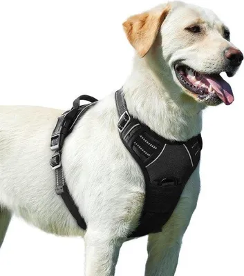 Image de Harnais pour chien de grande taille, anti-traction, couleur noire, taille L