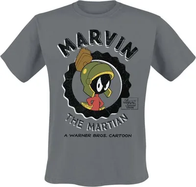 Produktbild von Looney Tunes T-Shirt Herren Marvin The Martian dunkelgrau XXL