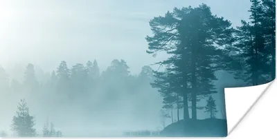 Produktbild von MuchoWow® Poster Wald - Licht - Nebel 40x20 cm - Poster für die Wand - Poster Schlafzimmer