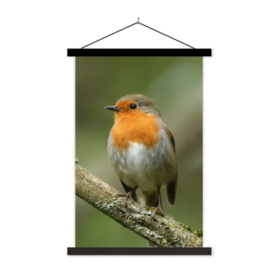Produktbild von MuchoWow® Textilposter Vogel - Rotkehlchen - Zweig - Pflanzen 40x60 cm mit schwarzem Rahmen - Wanddekorationen
