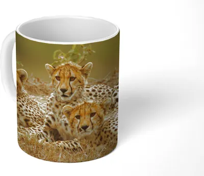 Produktbild von MuchoWow® Tasse Kaffeetasse Kaffeebecher 350 ml Junge Gepardenjunge Teetasse - Fototasse - Becher - Keramikbecher - Teebecher - Kaffeetasse - Bürotasse