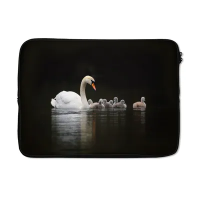 Produktbild von MuchoWow® Laptop Hülle 14 ZollVögel - Schwan - Küken Laptoptasche - Laptoptasche - Stoßsicher - Schutzhaube