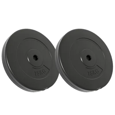 Produktbild von vidaXL Hantelscheiben 2 Stk. 30 kg Zement