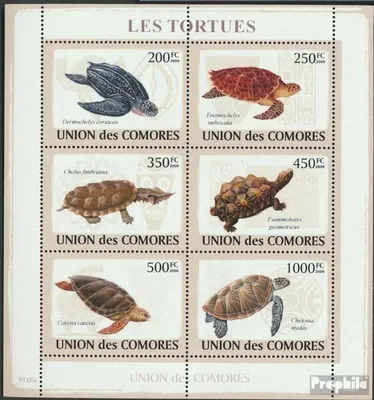 Produktbild von Briefmarken Komoren 2009 Mi 2177-2182 Kleinbogen (kompl. Ausg.) postfrisch Schildkröten