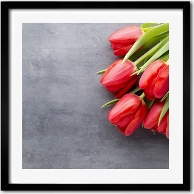 Produktbild von Bild - 50 cm x 50 cm - MDF - Rahmen, Wandkunst - Rote Tulpen