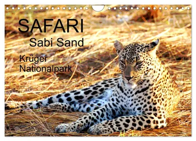 Produktbild von Safari / Afrika (Wandkalender 2027 DIN A4 quer), CALVENDO Monatskalender