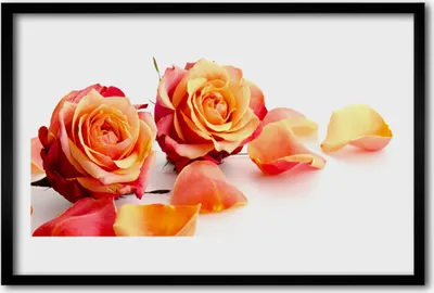 Produktbild von Bild 60x40 MDF-Rahmen Wandkunst Rosen Blumen Pflanzen