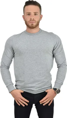 Produktbild von Sweatshirt Hoodie Rundhalsform Royyen 31200 Herren – GRAU / M