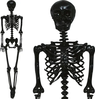 Produktbild von Guirca Skelett 160 Cm    One Size