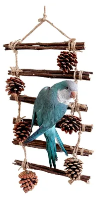 Produktbild von Vogelleiter Spielzeug | Holzstufen für Vogelkäfig und Voliere | Kletterleiter für Wellensittiche, Unzertrennliche und Nymphensittiche