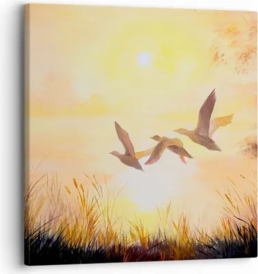 Produktbild von Bild auf Leinwand - Leinwandbild - Vogel Natur Wasser - 30x30cm - Wand Bild - Wanddeko - Wandbilder - Leinwanddruck - Bilder - Kunstdruck - Wanddekoration - Leinwand bilder - Wandkunst - AC30x30-3686