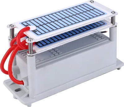 Zdjęcie produktu dla Zintegrowany generator ozonu Domowy odświeżacz powietrza Eliminator nieprzyjemnych zapachów Ozonator 24gAC110V