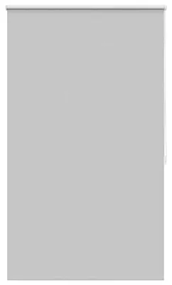 Immagine prodotto di Tenda a rullo oscurante 100 x 175 cm Grigio