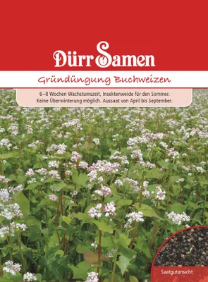 Produktbild von Gründünger Buchweizen 10 m² | Gründünger von Dürr Samen