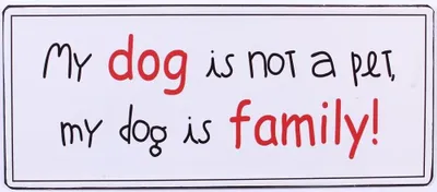 Produktbild von Blechschild - MY DOG IS NOT A PET, MY DOG IS FAMILY! - Vintage Wandschild