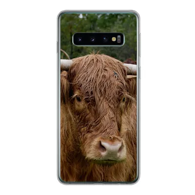 Produktbild von MuchoWow® Handyhülle Schutzhülle Hülle für Samsung Galaxy S10 Schottische Highlander - Tiere - Gras Silikon Softcase Handy Hülle - Handytasche