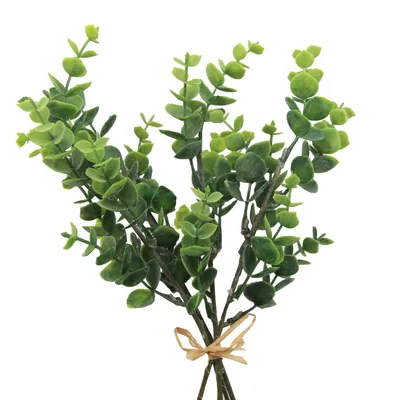 Obrázek produktu pro Umělý eukalyptus svazek zelený 4 větve výška 26cm