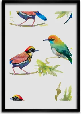 Produktbild von Bild - Bilderrahmen - Foto - 70 cm x 100 cm - MDF - Rahmen - Wandkunst - Vögel