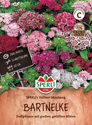 Produktbild von SPERLI Bartnelkensamen Vollbart 100 Pflanzen