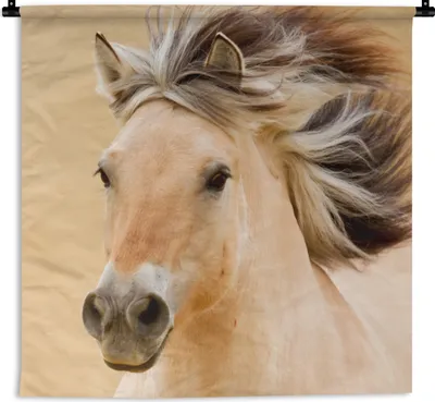 Produktbild von MuchoWow® Wandteppich Wandbehang Pferde - Tiere - Mähne - Porträt 60x60 cm Tapisserie Dekoration Wandtuch - Dekorationen - Wand Decke