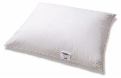 Produktbild von AMZ Basic+ Daunenkissen 70% 50x60 cm Weiß