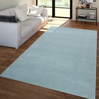 A light blue rug is placed on a wooden floor in front of a white sofa in a living room.