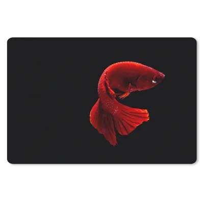 Produktbild von MuchoWow® Schreibtischunterlage Fisch - Meerestier - Schwanz - Rot 60x40 cm - XXL Mauspad - Großes Mauspad