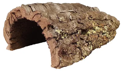 Zdjęcie produktu dla Dehner Terra – dekoracja do terrarium, rurka z korka, rozmiar M, ok. Ø 20–25 cm, szerokość 25–35 cm, korek naturalny, brązowo-beżowy