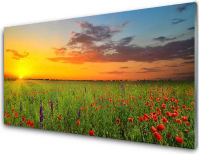Produktbild von Acrylglasbilder 100x50 Wandbild Druck Sonne Wiese Blumen Natur