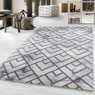 Image de Tapis NAXOS BRONZE 140 X 200cm rectangle