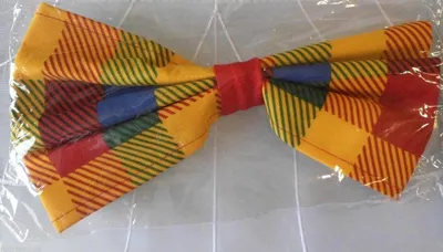 Produktbild von F56901 karo-bunt Damen Herren Fliege Karofliege