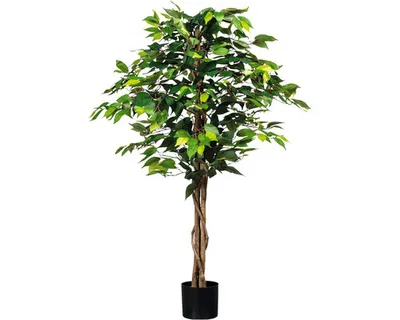 Produktbild von Kunstpflanze Ficus Benjamin schmal Höhe: 120 cm grün