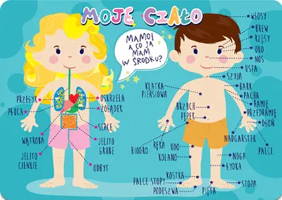 Image de Sous-main « Mon corps » B3