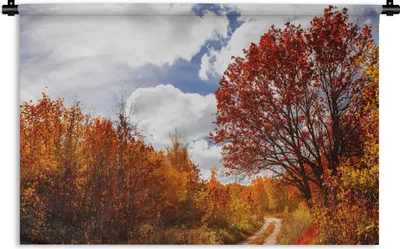 Produktbild von MuchoWow® Wandteppich Wandbehang Baum - Weg - Herbst 60x40 cm Tapisserie Dekoration Wandtuch - Wanddekorationen