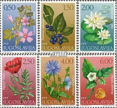 Produktbild von Briefmarken Jugoslawien 1971 Mi 1420-1425 (kompl.Ausg.) postfrisch Blumen