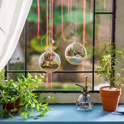 Produktbild von 4 Stück Hängende Glaskugeln Terrarium Sukkulenten Orbs - Große Öffnung Luftfarn Pflanzen Vase Hänger - 10 cm
