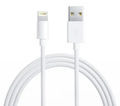 Image de Câble de données USB-A vers Lightning, 1m - Apple (MD818ZM/A) - Blanc (Vrac)